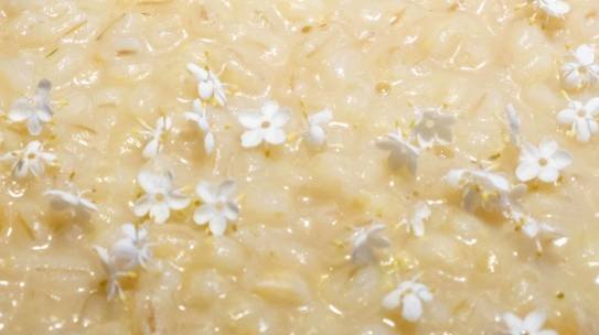 Orzotto ai fiori di sambuco
